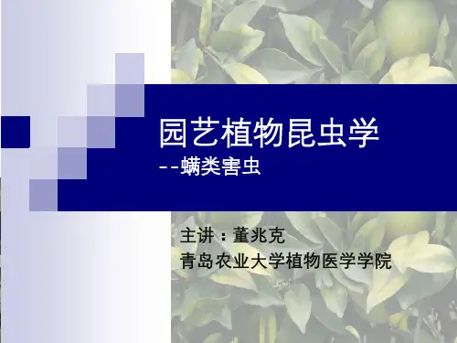 园艺植物昆虫学20-螨类害虫