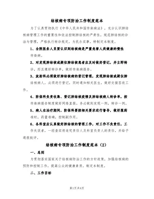 结核病专项防治工作制度范本（2篇）