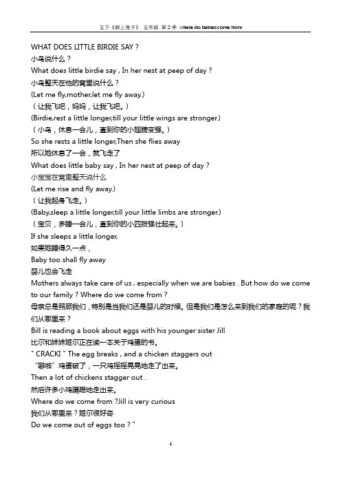 《跟上兔子》 五年级 第2季 where do babies come from