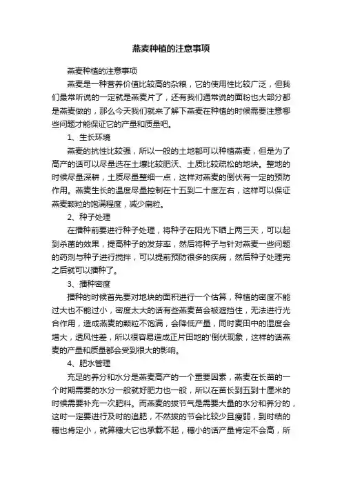 燕麦种植的注意事项