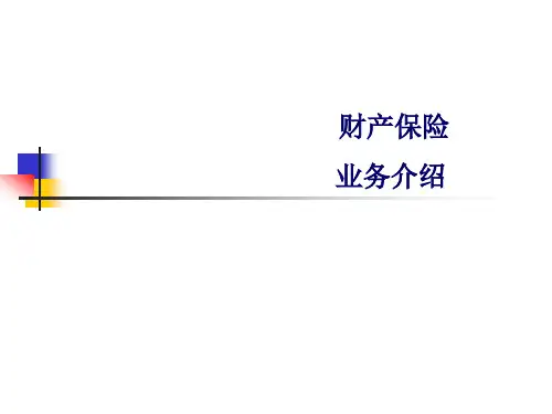 财产保险业务介绍