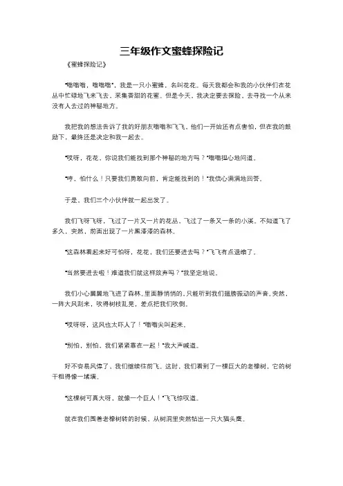 三年级作文蜜蜂探险记