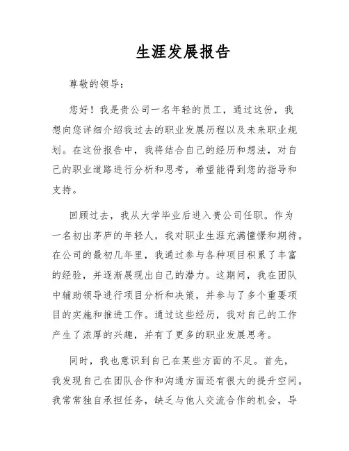 生涯发展报告