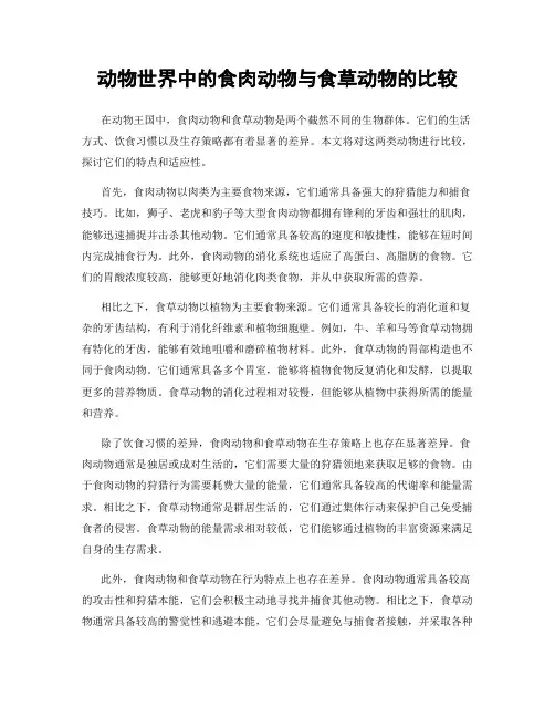 动物世界中的食肉动物与食草动物的比较