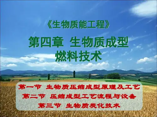 生物质成型燃料技术