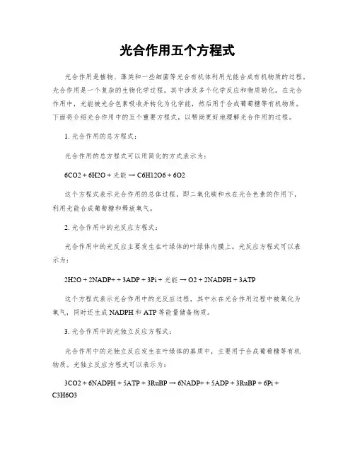 光合作用五个方程式