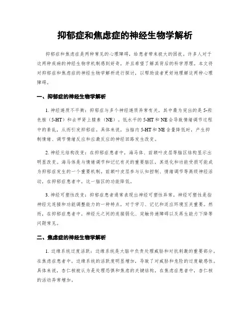 抑郁症和焦虑症的神经生物学解析