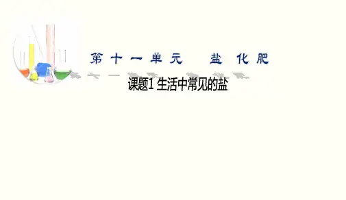 人教版九年级化学下 11.1生活中常见的盐(共48张PPT)