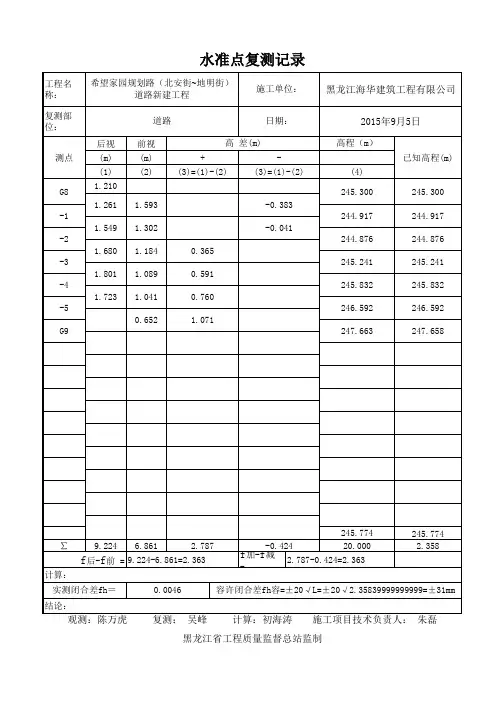 水准点复测记录 自动计算表 
