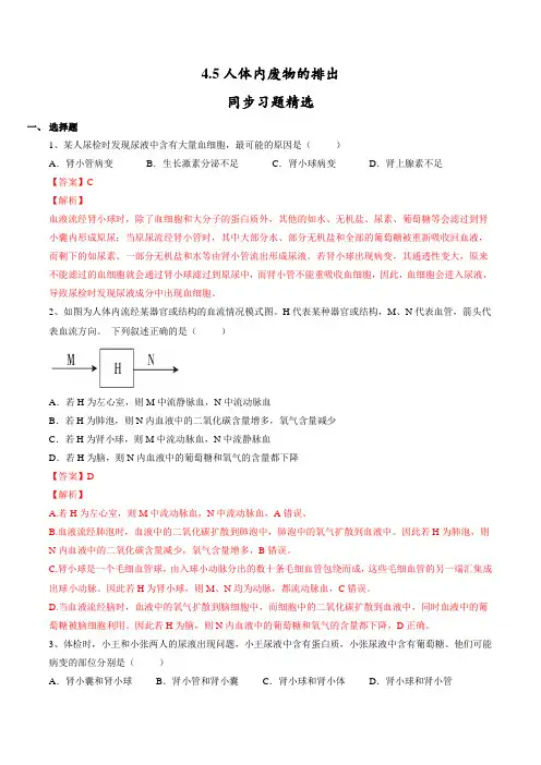 4.5 人体内废物的排出(解析版)