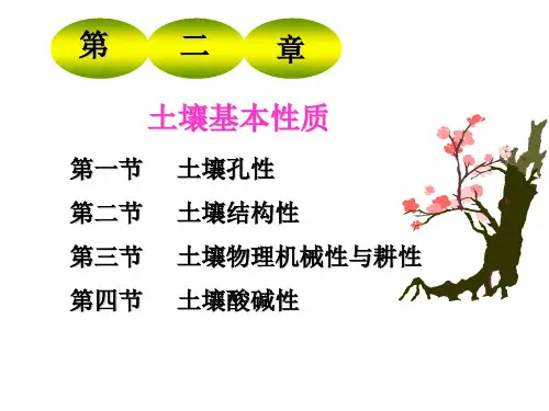 第二章土壤基本性质