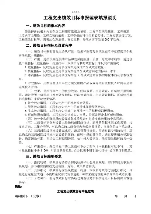 2022年项目支出绩效目标申报范表填报说明及模板