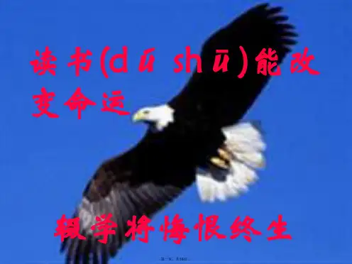 知识改变命运_读书成就人生主题班会