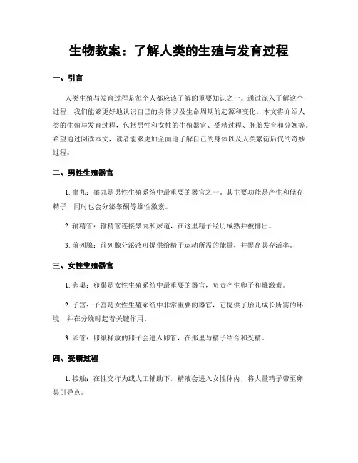 生物教案：了解人类的生殖与发育过程