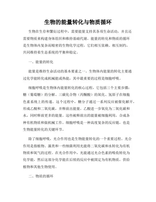 生物的能量转化与物质循环