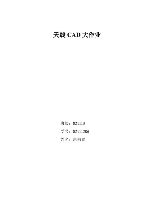 天线CAD大作业 02111206  赵书宽