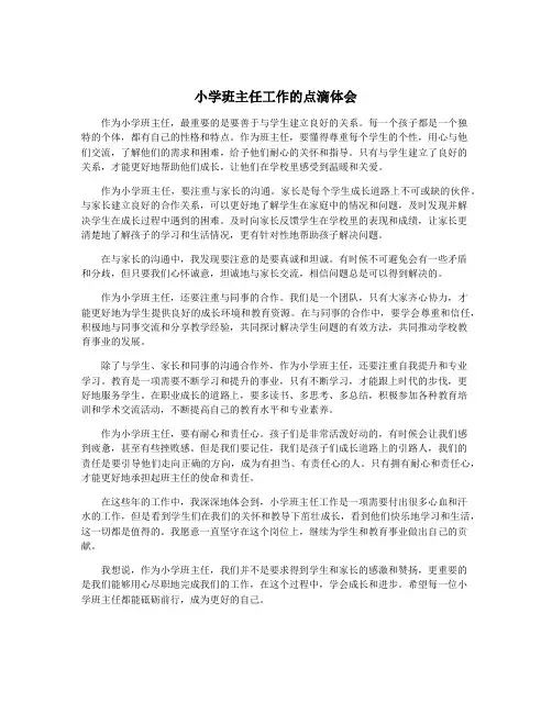 小学班主任工作的点滴体会