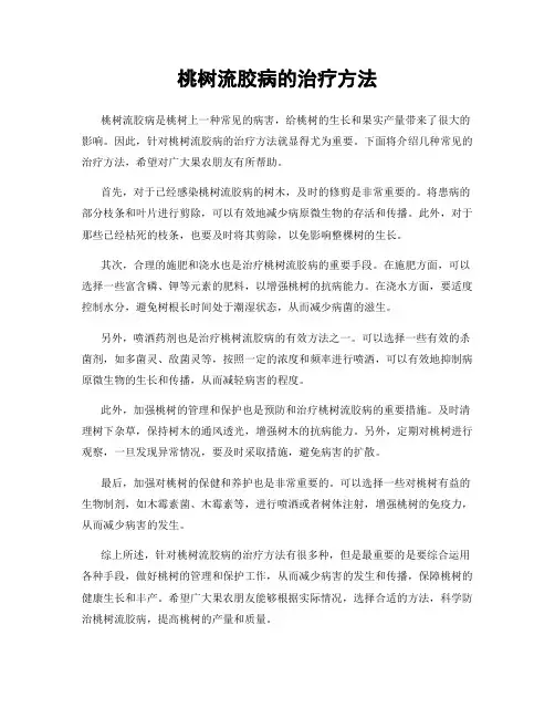 桃树流胶病的治疗方法