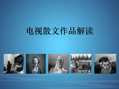 影视作品分析PPT课件(共12单元)10电视作品分析之电视散文