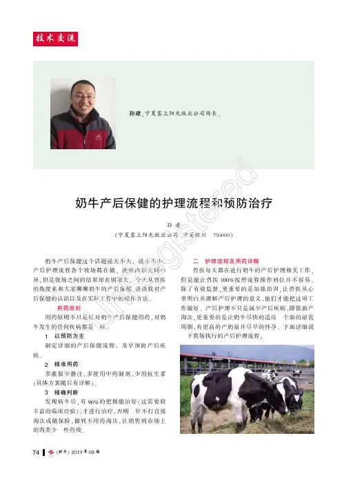 奶牛产后保健的护理流程和预防治疗
