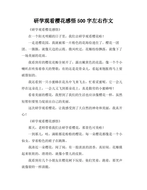 研学观看樱花感悟500字左右作文