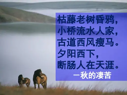 高中语文(人教版)必修2第一单元教学课件：第2课 故都的秋 (共30张PPT)