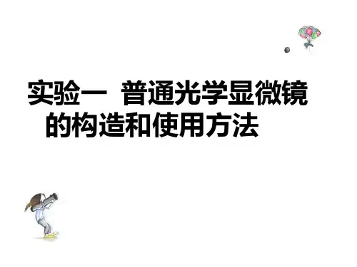 实验 普通光学显微镜的构造和使用方法、生物绘图、植物细胞基本结构的观察