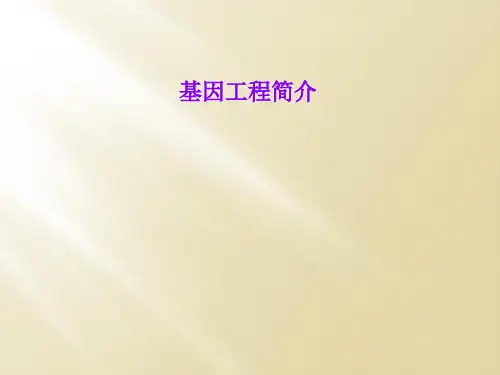 基因工程简介