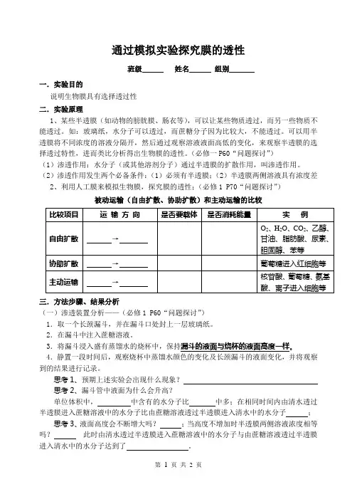 通过模拟实验探究膜的透性