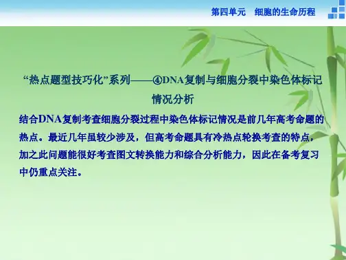 高三生物复习单元培优提能系列(共22张PPT)