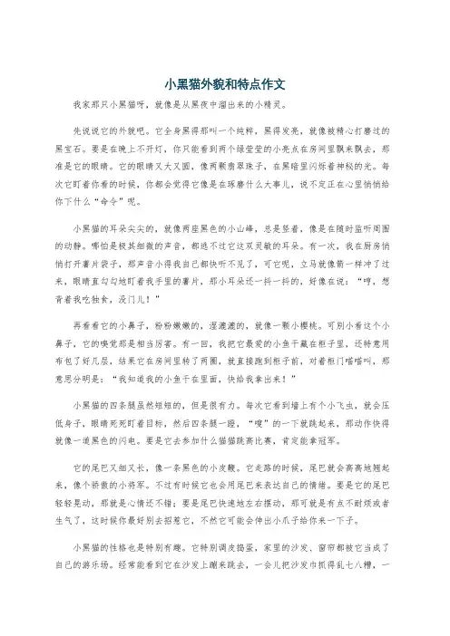 小黑猫外貌和特点作文