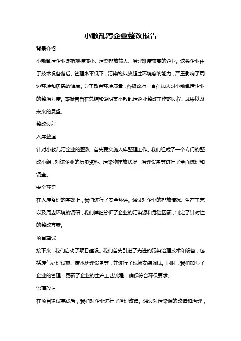 小散乱污企业整改报告