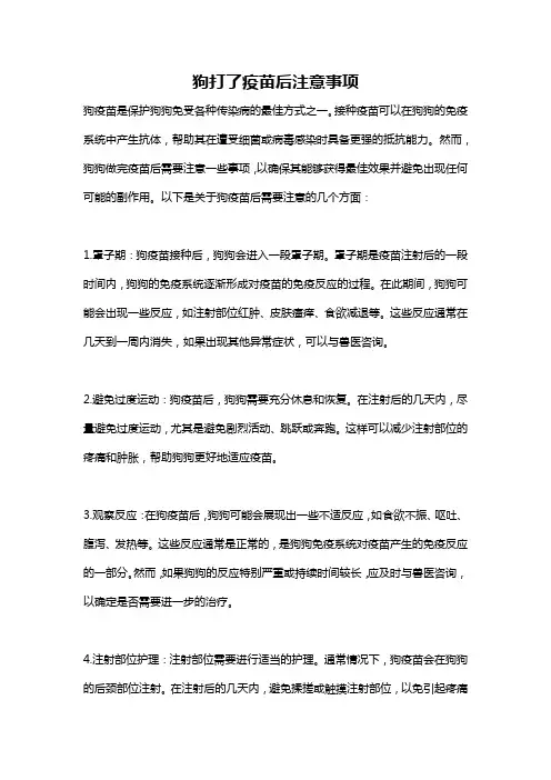 狗打了疫苗后注意事项