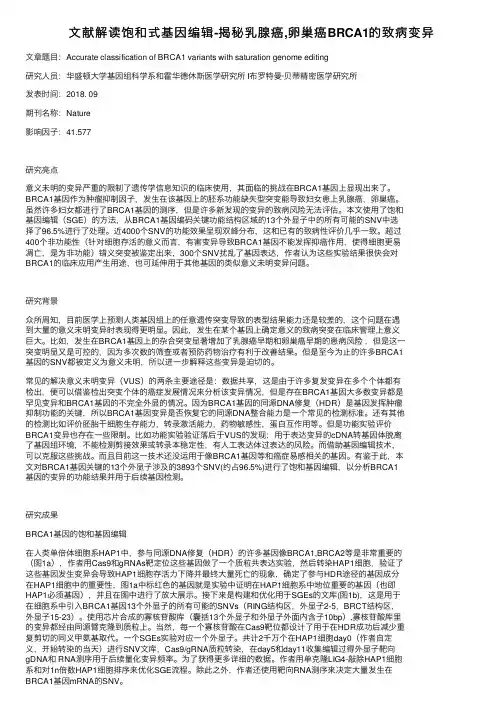 文献解读饱和式基因编辑-揭秘乳腺癌,卵巢癌BRCA1的致病变异
