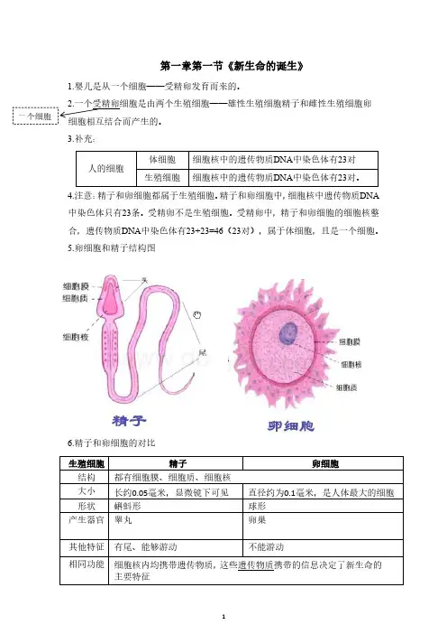 人教版部编版七下科学第一章第一节《新生命的诞生》