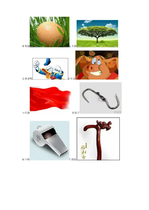 数字记忆编码(精心编制_请勿转