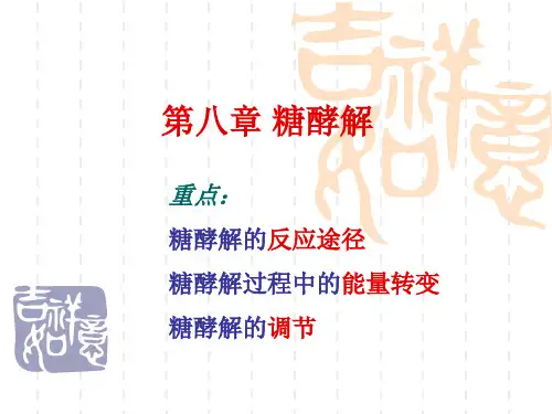 生物化学糖酵解