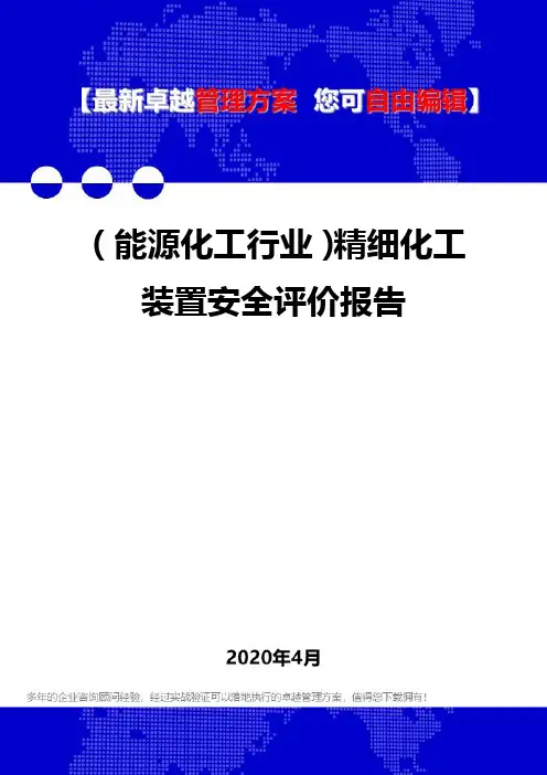 (能源化工行业)精细化工装置安全评价报告