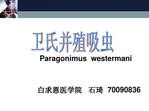 肺吸虫