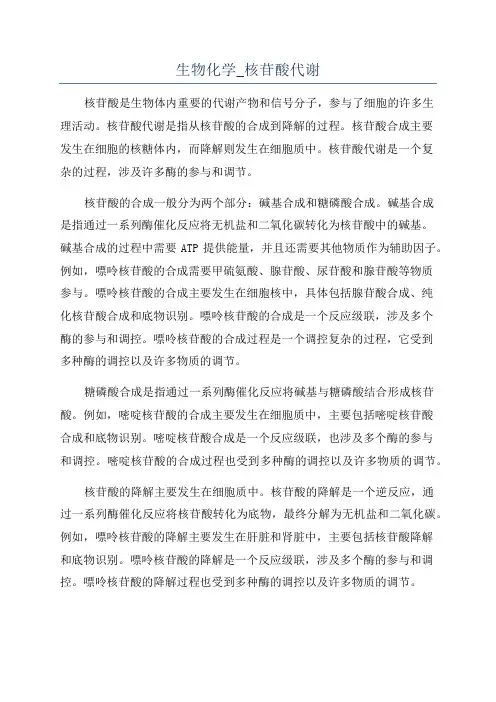 生物化学_核苷酸代谢