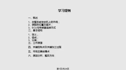 氧传感器PPT课件