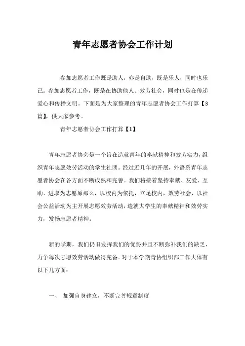 青年志愿者协会工作计划
