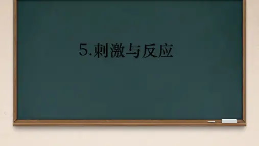 刺激与反应ppt课件