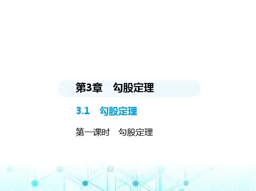 苏科版初中八年级数学上册3-1勾股定理第一课时勾股定理课件