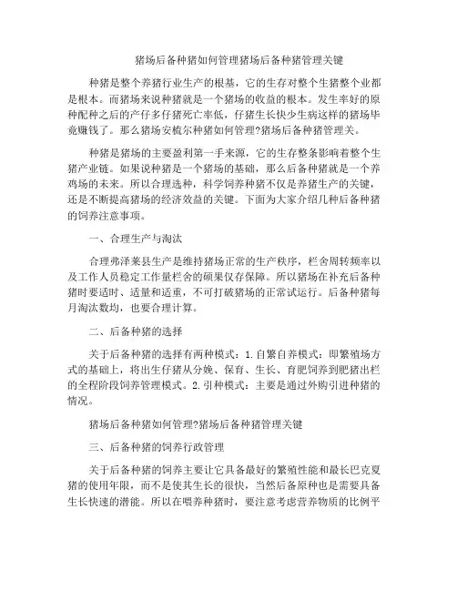 猪场后备种猪如何管理猪场后备种猪管理关键