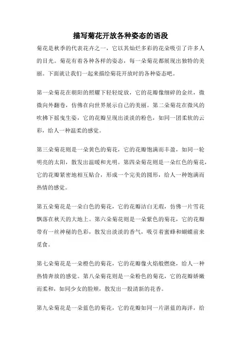 描写菊花开放各种姿态的语段
