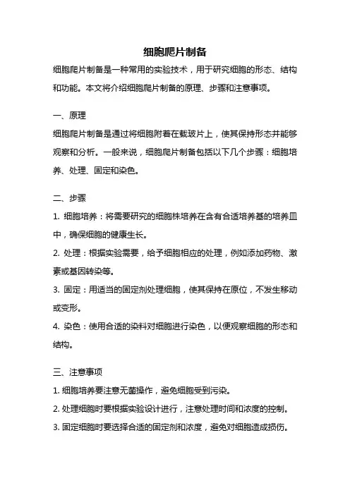 细胞爬片制备