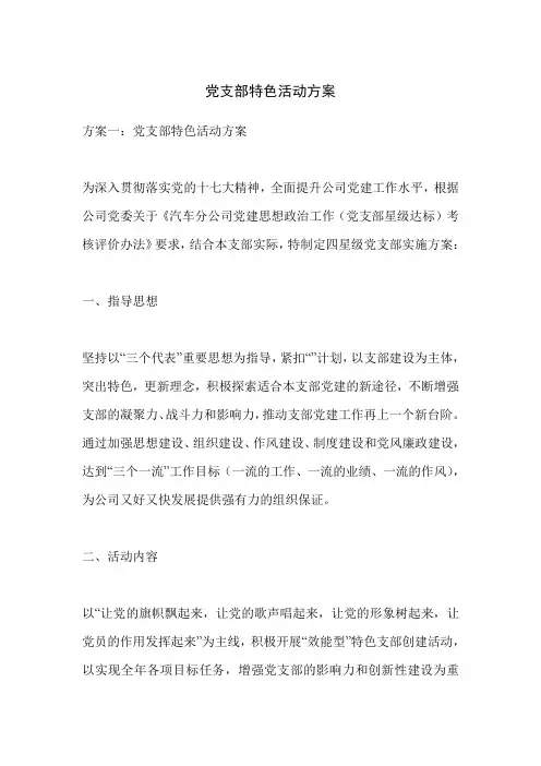 党支部特色活动方案