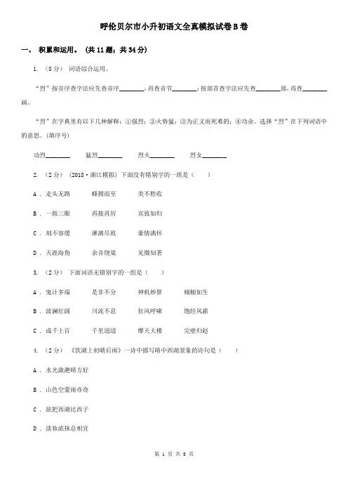 呼伦贝尔市小升初语文全真模拟试卷B卷