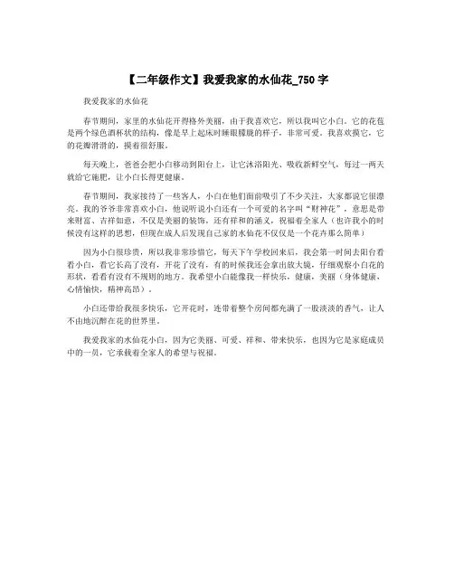【二年级作文】我爱我家的水仙花_750字
